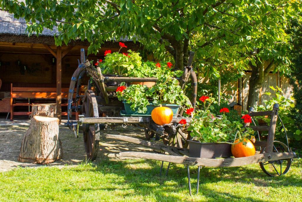 Kaktusz Villa Хевіз Екстер'єр фото
